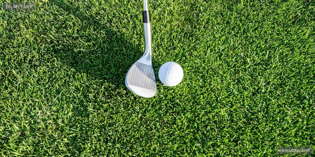 🏀 巅峰对决,见证荣耀时刻!🏆